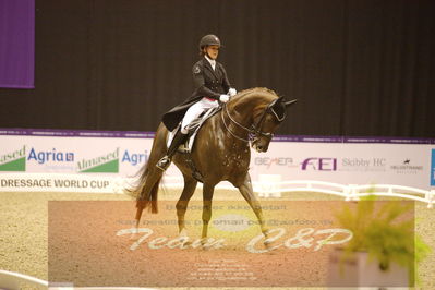 Dressage
grandprix special
Nøgleord: catrine dufour;bohemian