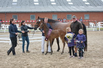 Følchampionat 2019
Billeder fra følchampionat 2019
Nøgleord: mr brown sem