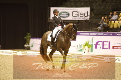 Dressage
grandprix special
Nøgleord: catrine dufour;bohemian