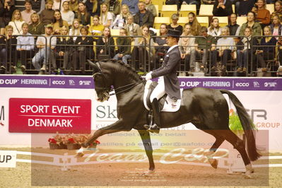 Dressage
grandprix special
Nøgleord: benjamin werndi;daily  mirror 9