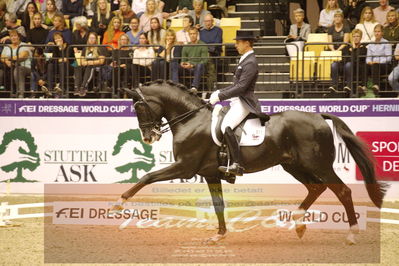 Dressage
grandprix special
Nøgleord: benjamin werndi;daily  mirror 9