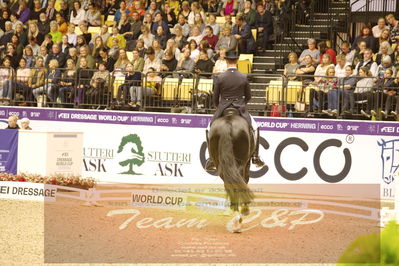 Dressage
grandprix special
Nøgleord: benjamin werndi;daily  mirror 9