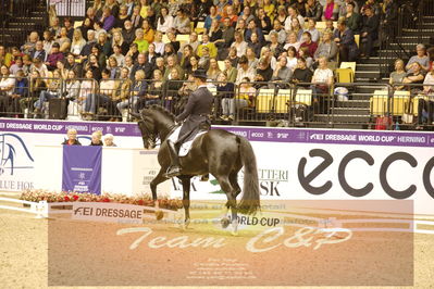 Dressage
grandprix special
Nøgleord: benjamin werndi;daily  mirror 9