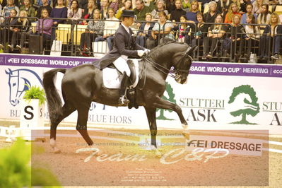 Dressage
grandprix special
Nøgleord: benjamin werndi;daily  mirror 9