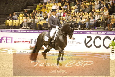 Dressage
grandprix special
Nøgleord: benjamin werndi;daily  mirror 9