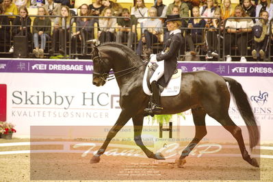Dressage
grandprix special
Nøgleord: helen langehanenberg;damsey  frh