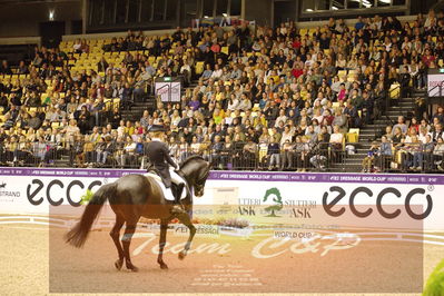 Dressage
grandprix special
Nøgleord: helen langehanenberg;damsey  frh
