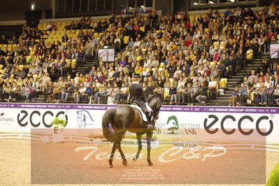 Dressage
grandprix special
Nøgleord: helen langehanenberg;damsey  frh
