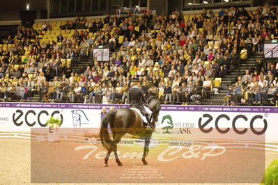 Dressage
grandprix special
Nøgleord: helen langehanenberg;damsey  frh