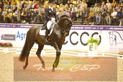 Dressage
grandprix special
Nøgleord: helen langehanenberg;damsey  frh