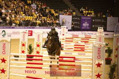 Showjumping
højdespring, hoghjumping
Nøgleord: charlotte kondrup;dithmarsia