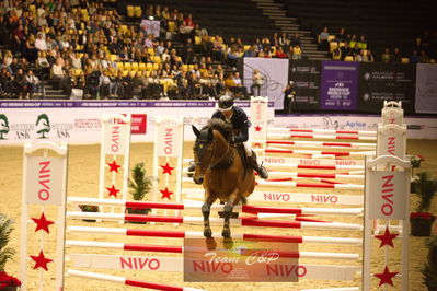 Showjumping
højdespring, hoghjumping
Nøgleord: ameen elmaghraby;velwet queen