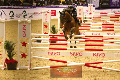 Showjumping
højdespring, hoghjumping
Nøgleord: ameen elmaghraby;velwet queen