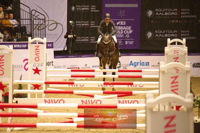 Showjumping
højdespring, hoghjumping
Nøgleord: philip rüping;continental blue