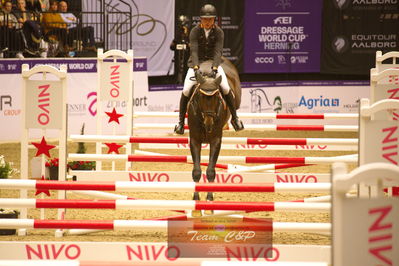 Showjumping
højdespring, hoghjumping
Nøgleord: philip rüping;continental blue
