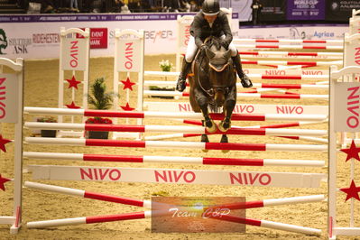 Showjumping
højdespring, hoghjumping
Nøgleord: philip rüping;continental blue