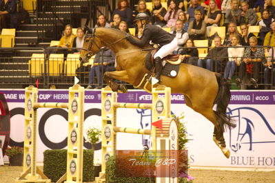 Showjumping
stutteri ask  gp 150cm
Nøgleord: louisa müller;salitos 9
