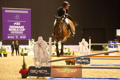 Showjumping
stutteri ask  gp 150cm
Nøgleord: pieter kenis;kashmir van d'oude pastory
