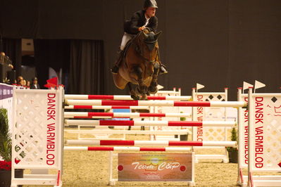 Showjumping
stutteri ask  gp 150cm
Nøgleord: pieter kenis;kashmir van d'oude pastory