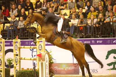 Showjumping
stutteri ask  gp 150cm
Nøgleord: erik preben strand;indoletto
