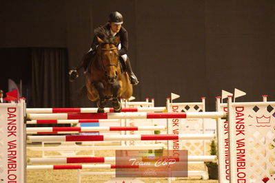 Showjumping
stutteri ask  gp 150cm
Nøgleord: erik preben strand;indoletto