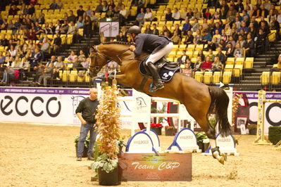 Showjumping
stutteri ask  gp 150cm
Nøgleord: piet raijmakers jn;van schijndel's gladstone