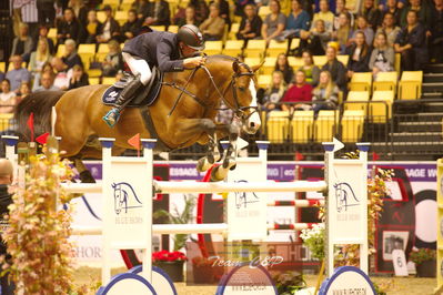 Showjumping
stutteri ask  gp 150cm
Nøgleord: piet raijmakers jn;van schijndel's gladstone