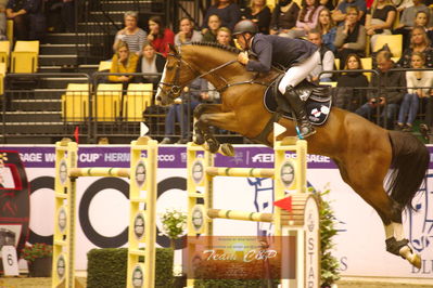 Showjumping
stutteri ask  gp 150cm
Nøgleord: piet raijmakers jn;van schijndel's gladstone