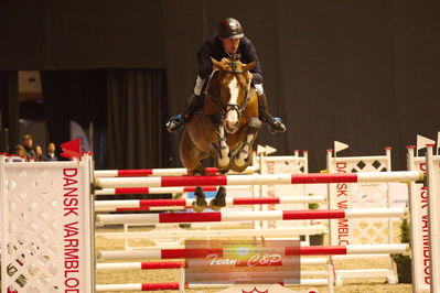 Showjumping
stutteri ask  gp 150cm
Nøgleord: piet raijmakers jn;van schijndel's gladstone