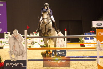 Showjumping
stutteri ask  gp 150cm
Nøgleord: jack ray nielsen;gerdings  carrie
