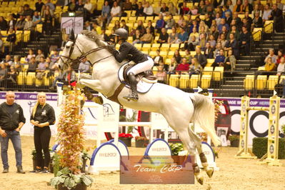 Showjumping
stutteri ask  gp 150cm
Nøgleord: linn widmark;coleburn