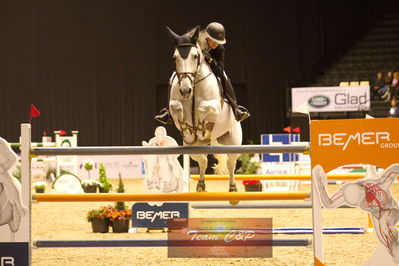 Showjumping
stutteri ask  gp 150cm
Nøgleord: linn widmark;coleburn