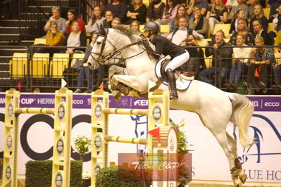 Showjumping
stutteri ask  gp 150cm
Nøgleord: linn widmark;coleburn