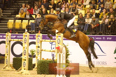 Showjumping
stutteri ask  gp 150cm
Nøgleord: marco kutcher;boeckmanns lord pezi jinor