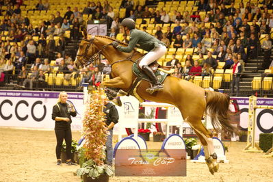 Showjumping
stutteri ask  gp 150cm
Nøgleord: harm lahde;oak grove's heartfelt