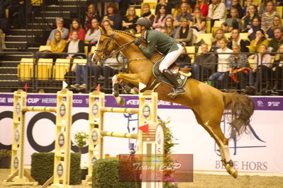 Showjumping
stutteri ask  gp 150cm
Nøgleord: harm lahde;oak grove's heartfelt