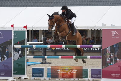 dm2019
u18
Nøgleord: kristine amalie paulson;toftehøjs justitia