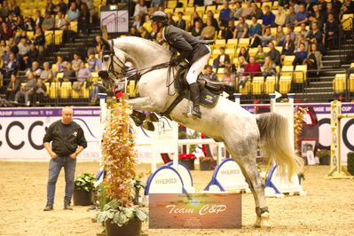 Showjumping
stutteri ask  gp 150cm
Nøgleord: kevin thornton;clarity