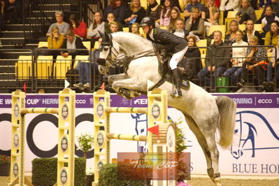 Showjumping
stutteri ask  gp 150cm
Nøgleord: kevin thornton;clarity
