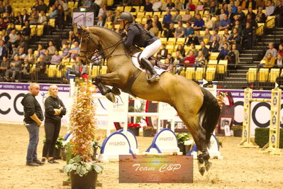 Showjumping
stutteri ask  gp 150cm
Nøgleord: stine cassoe jacobsen;conshillo