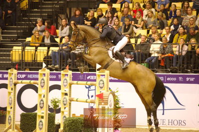 Showjumping
stutteri ask  gp 150cm
Nøgleord: stine cassoe jacobsen;conshillo