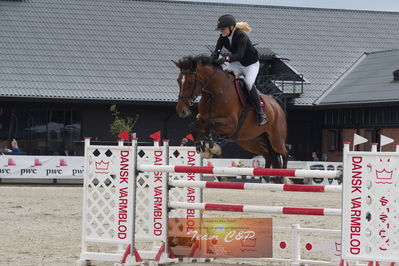 dm2019
u18
Nøgleord: maria nørregaard langhoff;diarada s