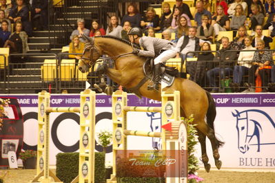 Showjumping
stutteri ask  gp 150cm
Nøgleord: martin mose knudsen;volstrups cash