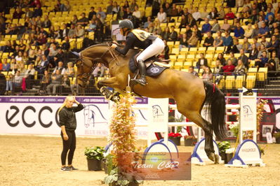 Showjumping
stutteri ask  gp 150cm
Nøgleord: clara hallundbæk;hh best buy