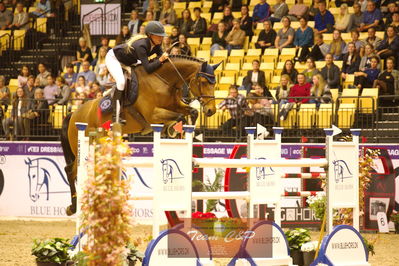 Showjumping
stutteri ask  gp 150cm
Nøgleord: clara hallundbæk;hh best buy