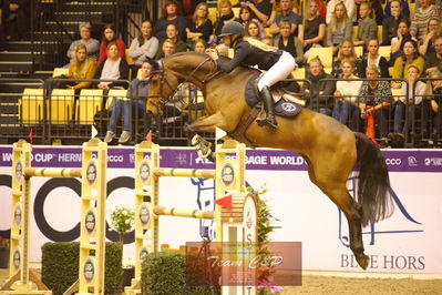 Showjumping
stutteri ask  gp 150cm
Nøgleord: clara hallundbæk;hh best buy