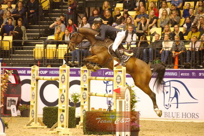 Showjumping
stutteri ask  gp 150cm
Nøgleord: marcus westergren;calmere