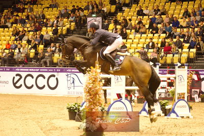 Showjumping
stutteri ask  gp 150cm
Nøgleord: patrick stühlmeyer;varihoka du temple