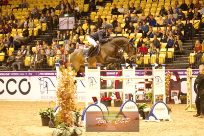 Showjumping
stutteri ask  gp 150cm
Nøgleord: patrick stühlmeyer;varihoka du temple