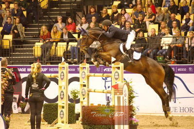 Showjumping
stutteri ask  gp 150cm
Nøgleord: maksymilian wechta;celtia ll